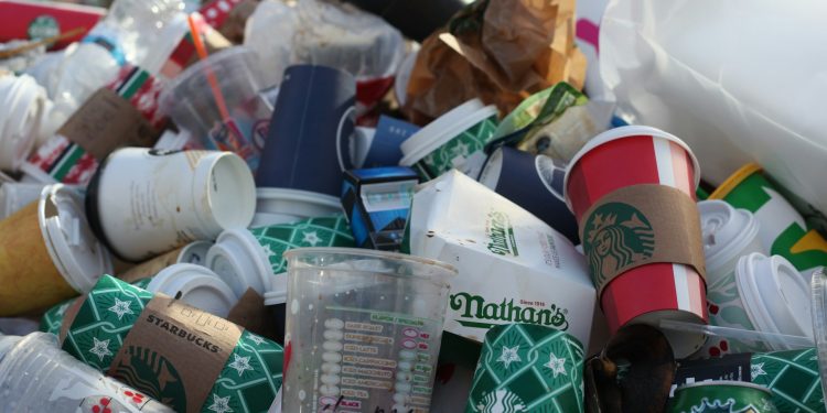 Plastic Pollution: Current Strategies and Future Innovations