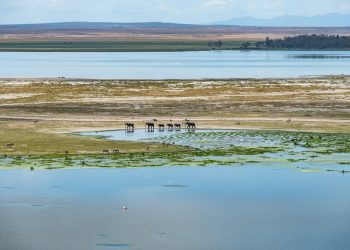 7 Best Things to Do in Nairobi: Exploring Kenya with an ETA