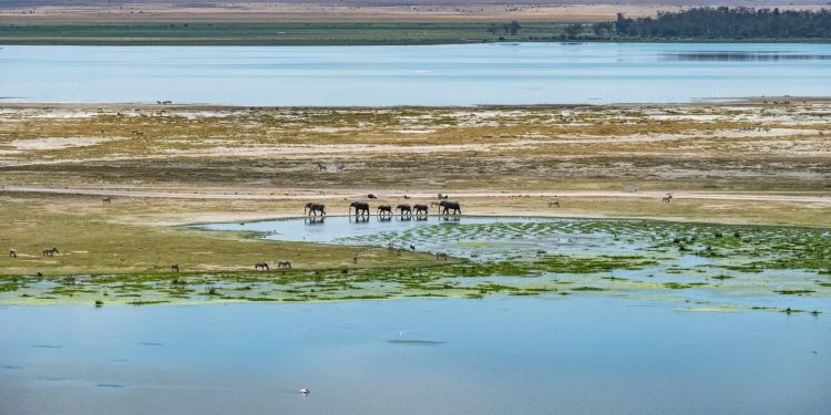 7 Best Things to Do in Nairobi: Exploring Kenya with an ETA