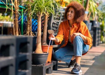 The Role of Smart Irrigation and Drainage in Professional Landscape Design